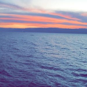 Meet your Posher, Sydney